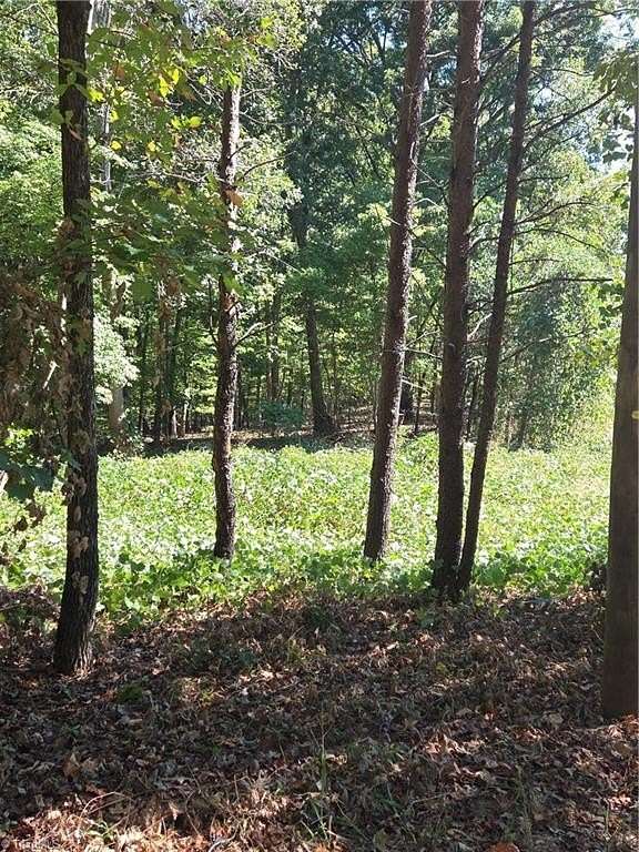 3 Acres of Residential Land for Sale in Walnut Cove, North Carolina
