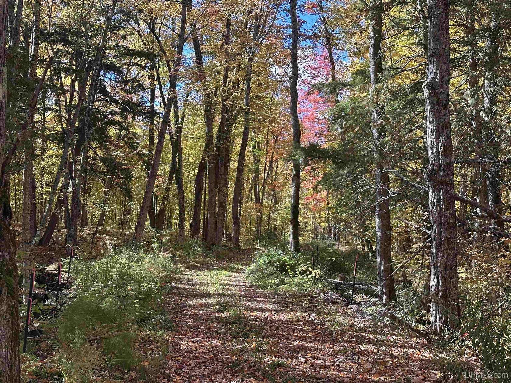 3.5 Acres of Residential Land for Sale in Marenisco, Michigan