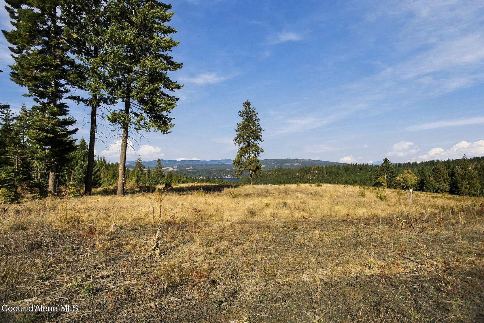 30 Acres of Recreational Land for Sale in Harrison, Idaho