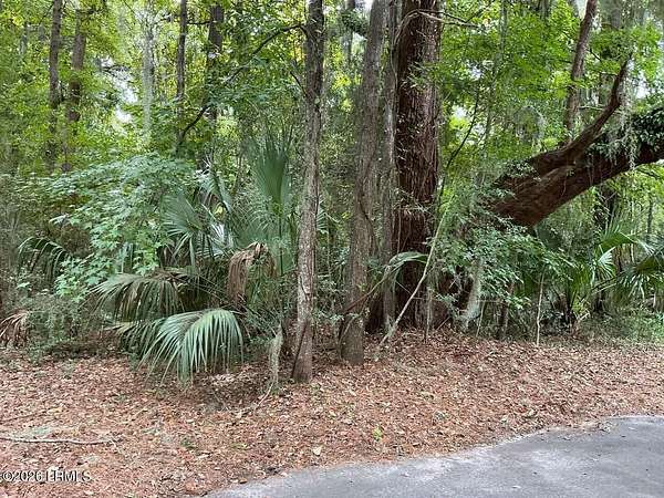 0.94 Acres of Residential Land for Sale in Saint Helena Island, South Carolina