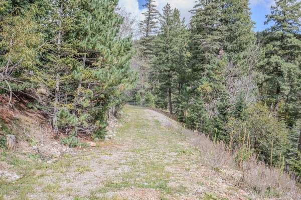 3.83 Acres of Residential Land for Sale in Cloudcroft, New Mexico