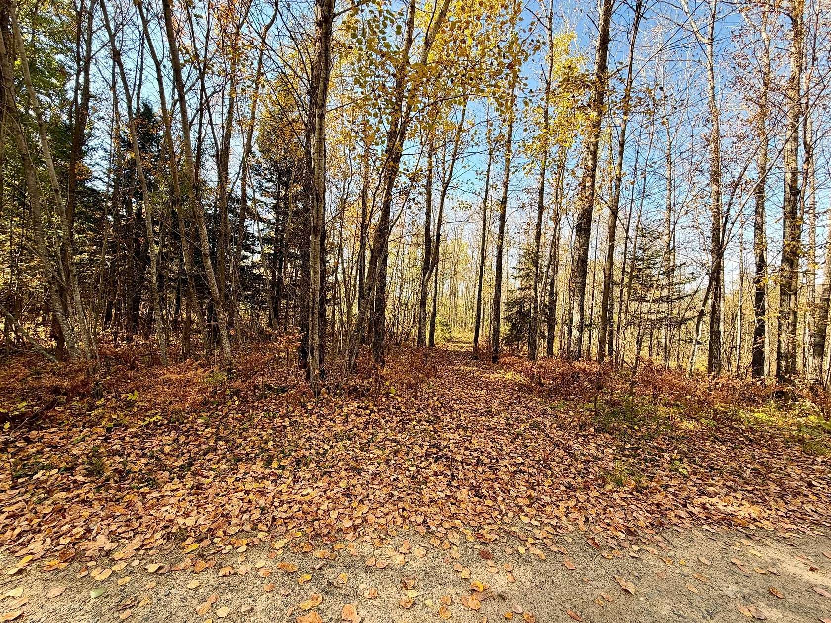 8.48 Acres of Land for Sale in Deer River, Minnesota