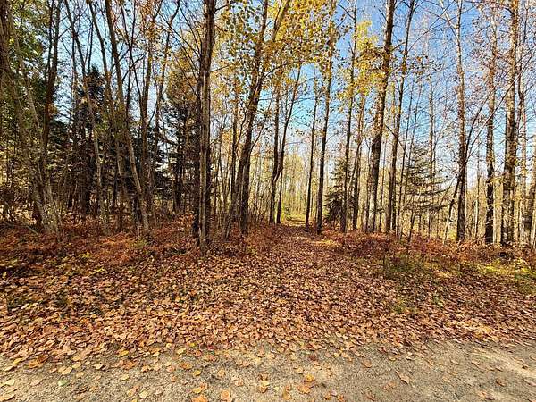 8.48 Acres of Land for Sale in Deer River, Minnesota