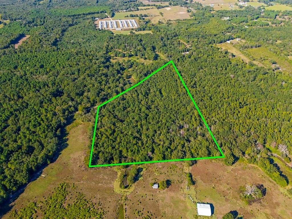 24.1 Acres of Recreational & Residential Land for Sale in Pittsburg, Texas