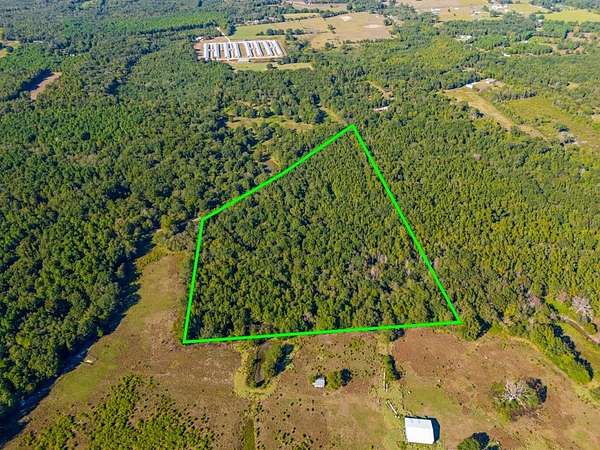 24.1 Acres of Recreational & Residential Land for Sale in Pittsburg, Texas