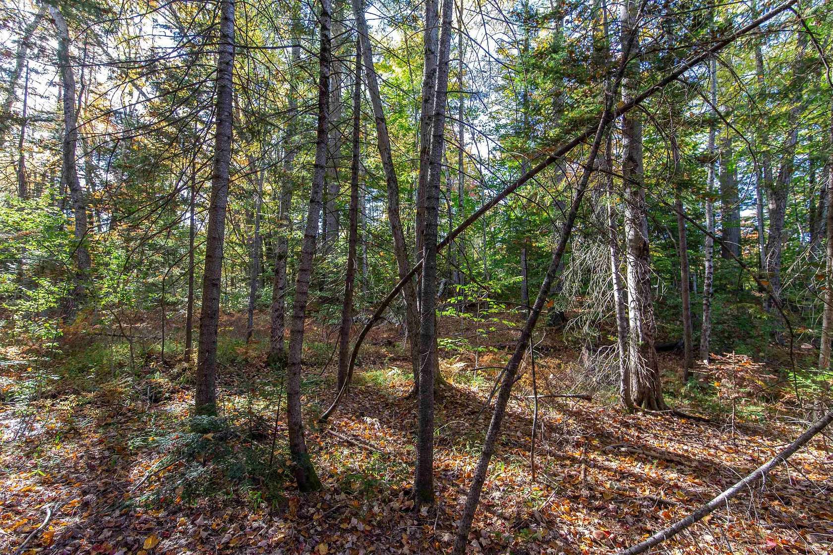 0.8 Acres of Mixed-Use Land for Sale in Tamworth, New Hampshire