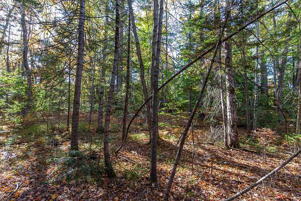 0.8 Acres of Mixed-Use Land for Sale in Tamworth, New Hampshire