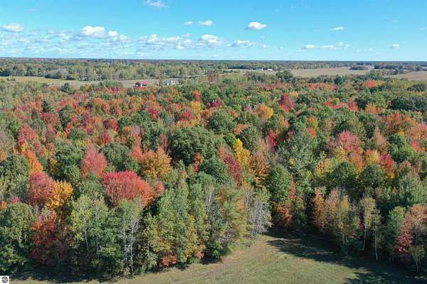 120 Acres of Recreational & Residential Land for Sale in Coleman, Michigan
