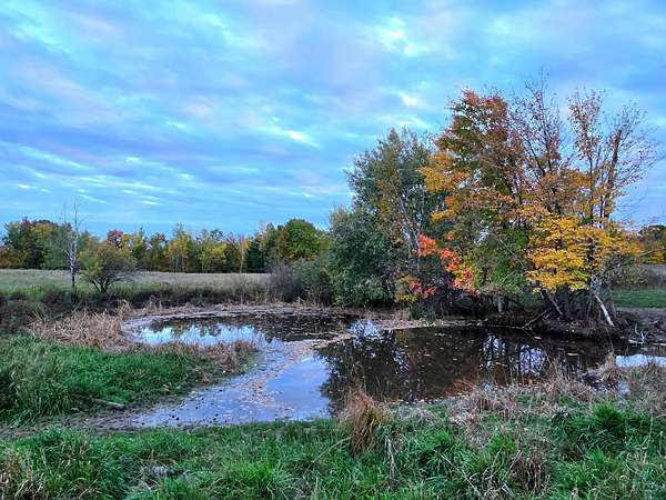 40 Acres of Land with Home for Sale in Grasston, Minnesota