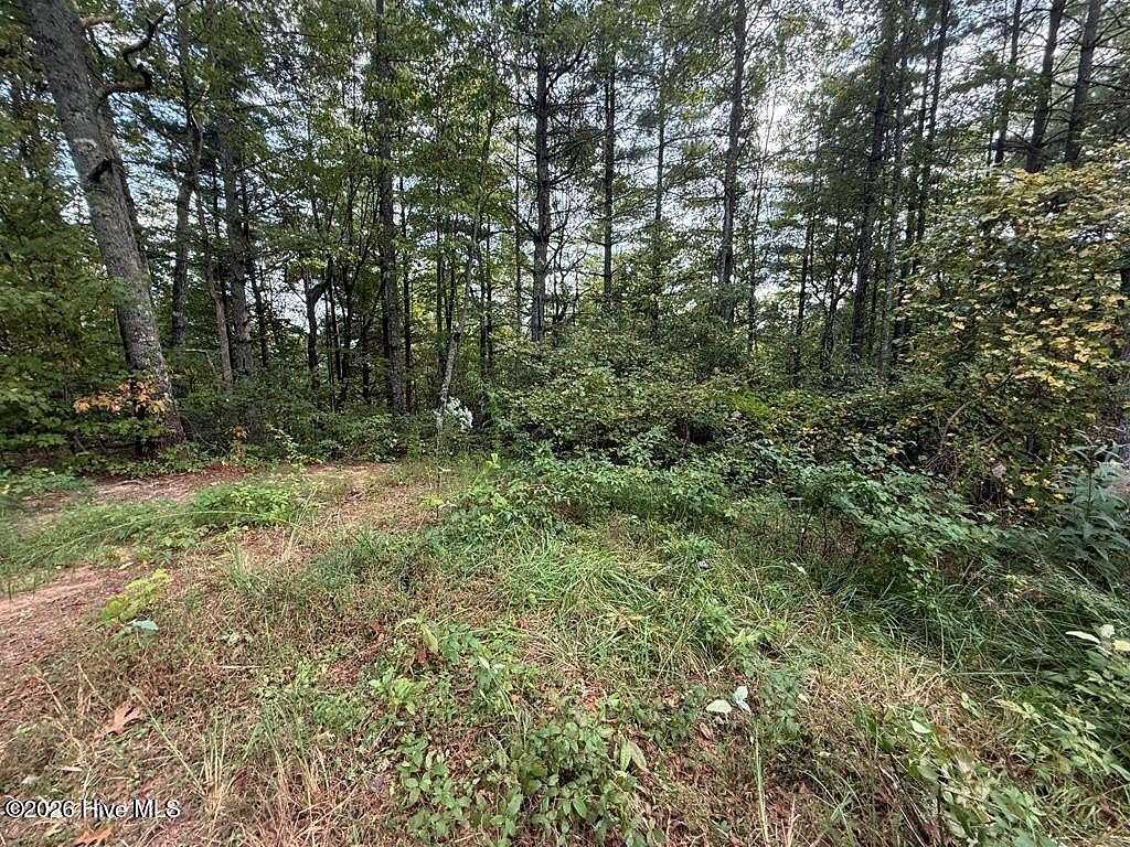17 Acres of Land for Sale in Marble, North Carolina