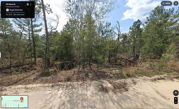 0.35 Acres of Residential Land for Sale in Interlachen, Florida