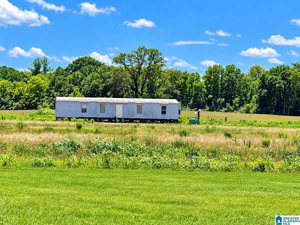36 Acres of Land for Sale in Eastaboga, Alabama