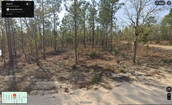 0.26 Acres of Residential Land for Sale in Interlachen, Florida