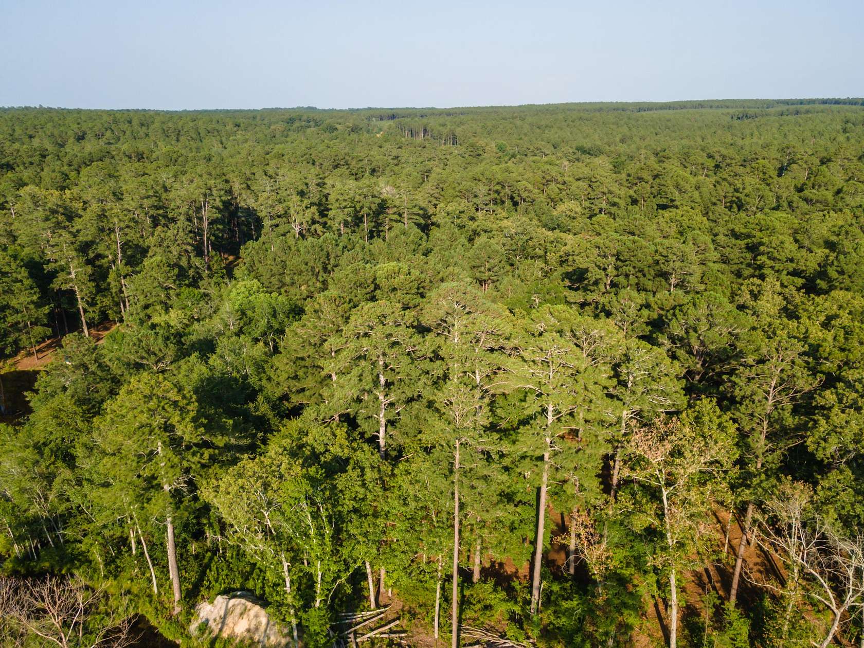2 Acres of Residential Land for Sale in Wagener, South Carolina