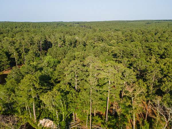 2 Acres of Residential Land for Sale in Wagener, South Carolina