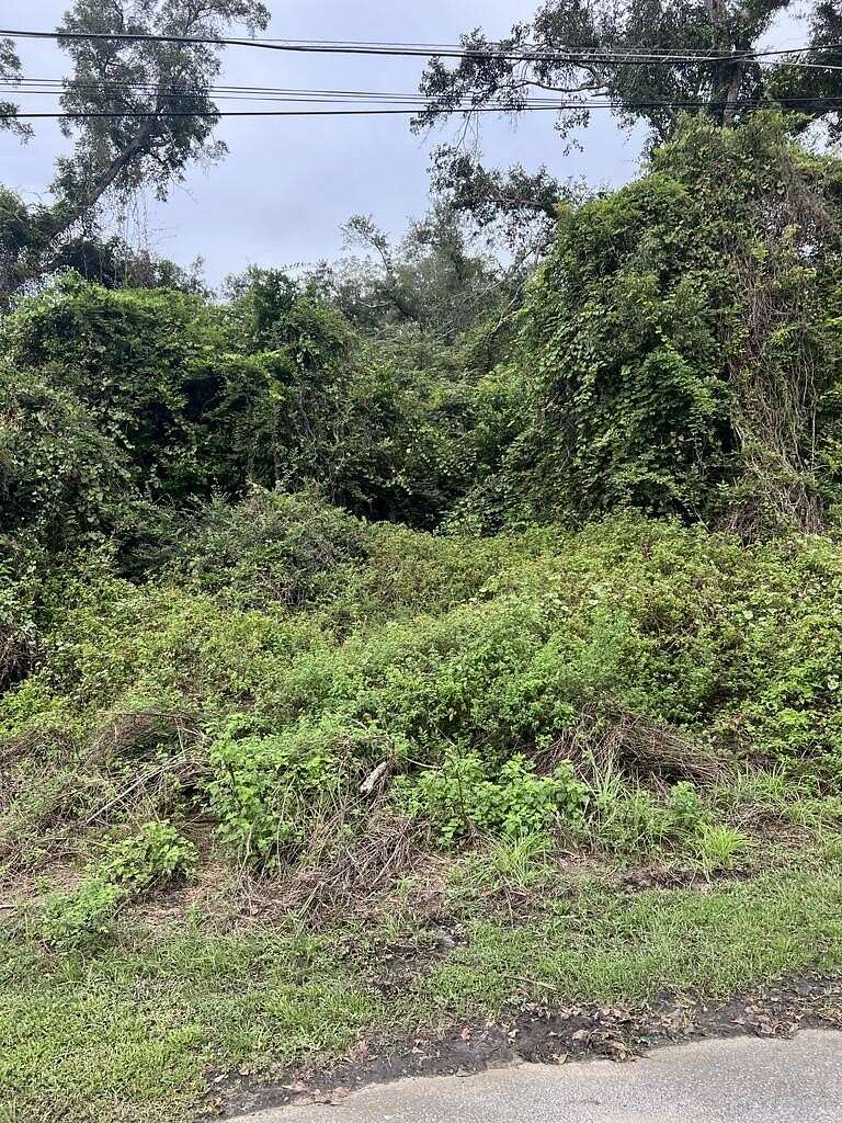 0.48 Acres of Land for Sale in Broxton, Georgia