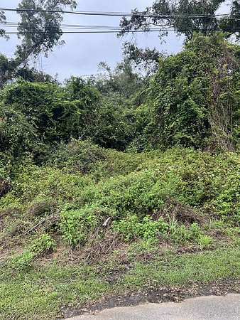 0.48 Acres of Land for Sale in Broxton, Georgia