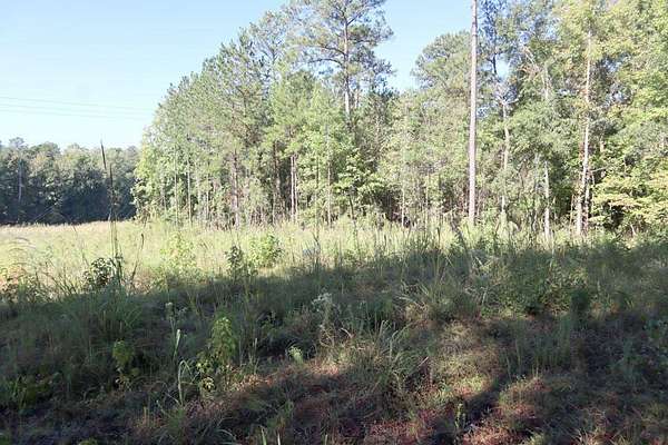1.49 Acres of Commercial Land for Sale in Sparta, Georgia