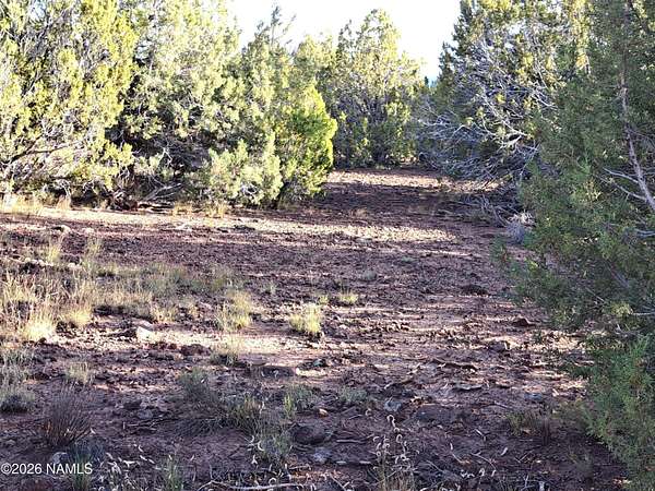 4.77 Acres of Residential Land for Sale in Williams, Arizona