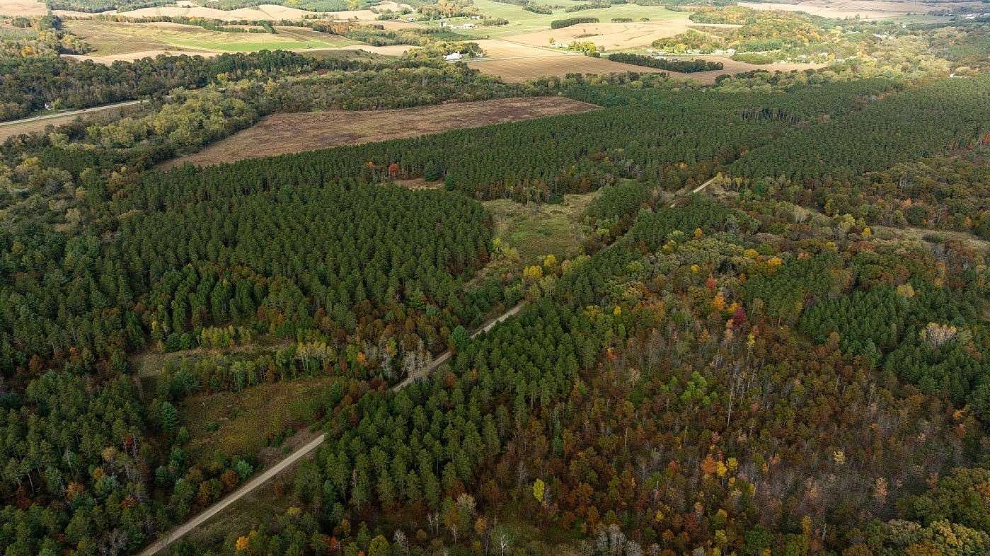 90 Acres of Land for Sale in Osseo, Wisconsin