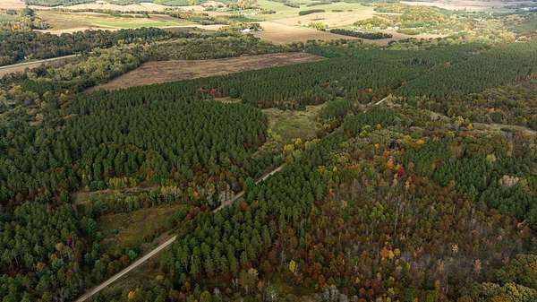 90 Acres of Land for Sale in Osseo, Wisconsin