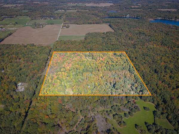 40 Acres of Recreational & Residential Land for Sale in Lakeview, Michigan
