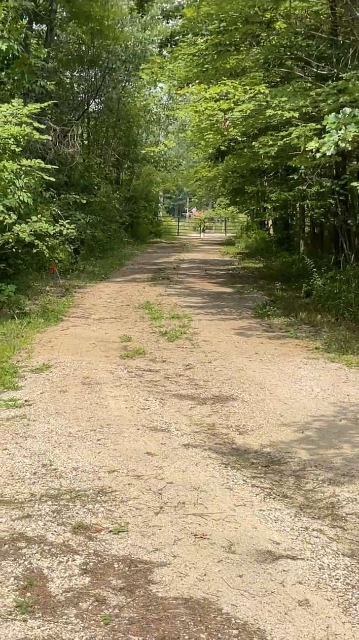 10 Acres of Recreational & Residential Land for Sale in Pullman, Michigan