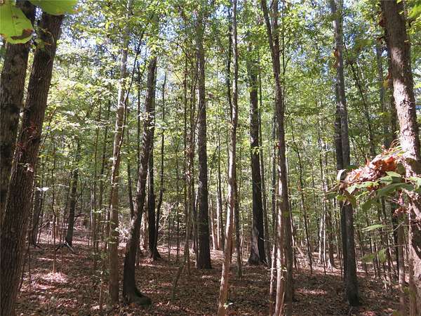 274 Acres of Recreational Land for Sale in Garrison, Texas