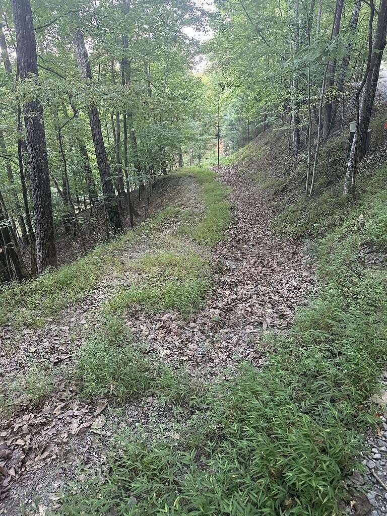 2 Acres of Land for Sale in Morganton, Georgia