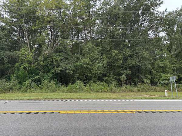 1.33 Acres of Land for Sale in Elloree, South Carolina
