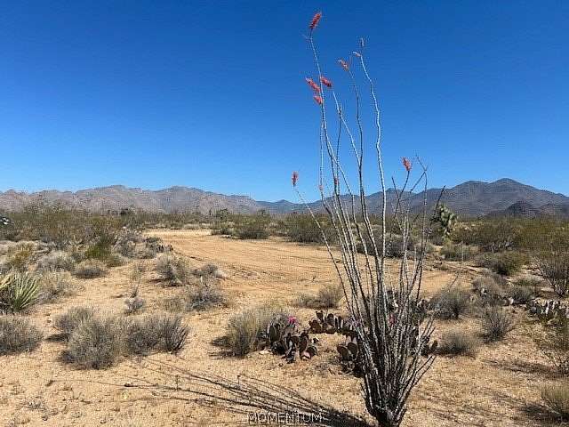 1 Acre of Residential Land for Sale in Yucca, Arizona
