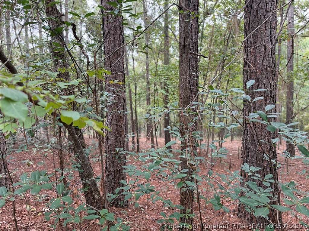 0.46 Acres of Residential Land for Sale in Raeford, North Carolina