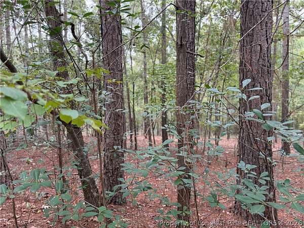 0.46 Acres of Residential Land for Sale in Raeford, North Carolina