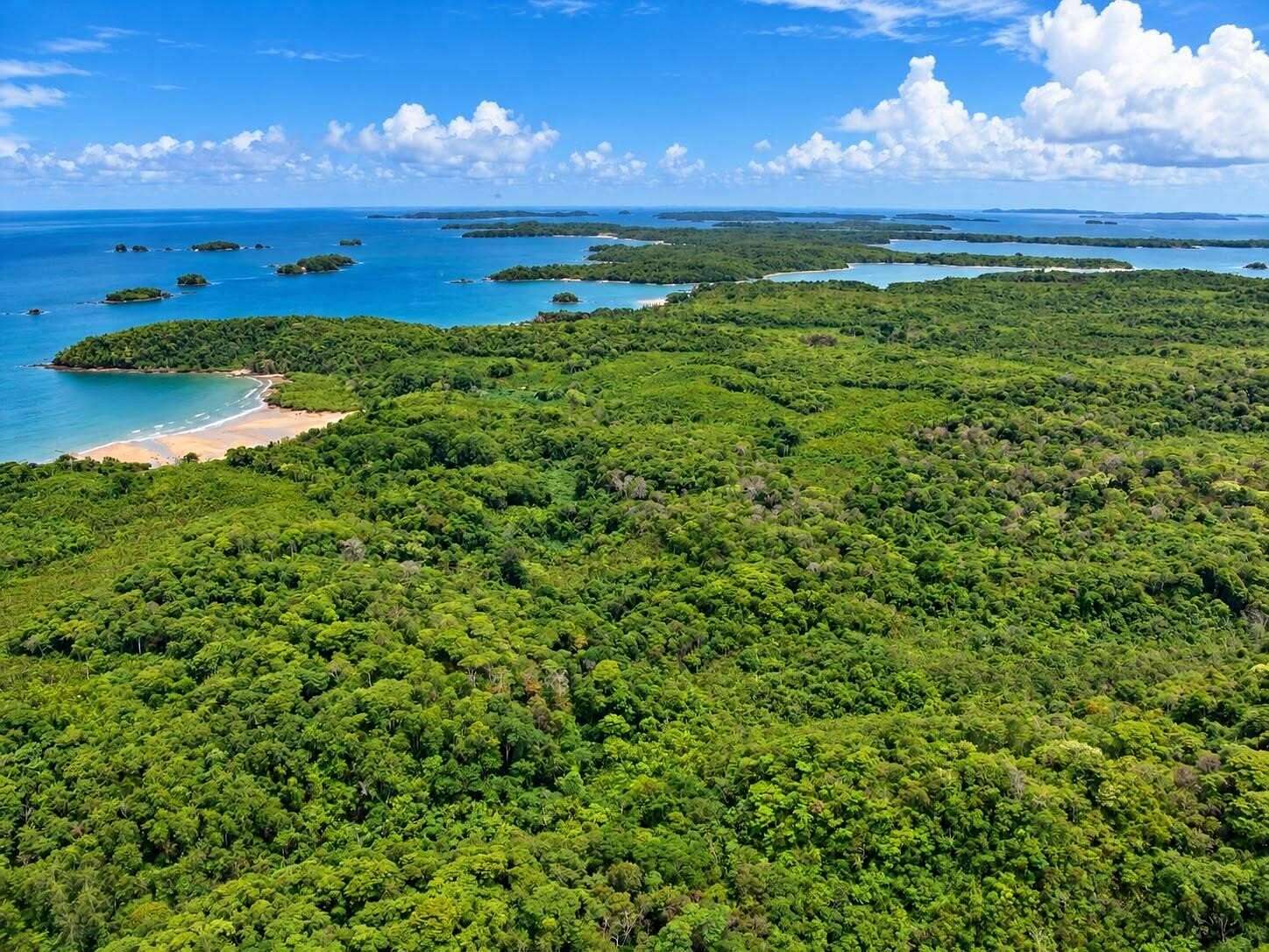 98.8 Acres of Recreational & Residential Land for Sale in St. Augustine, Florida