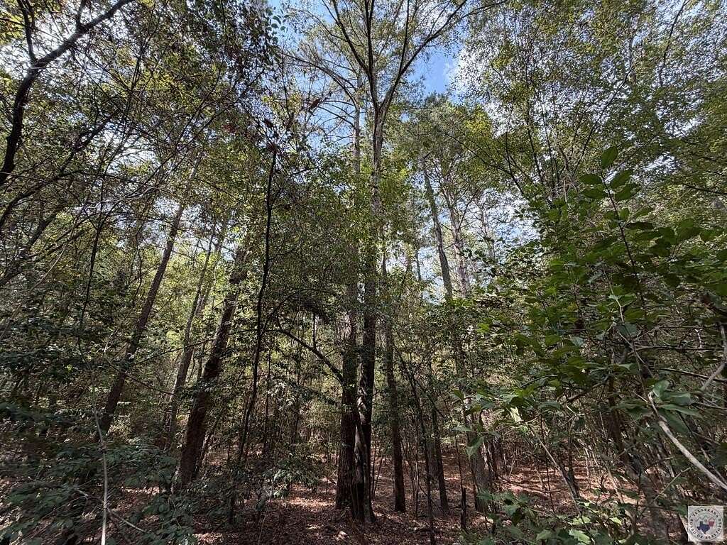 31 Acres of Recreational & Residential Land for Sale in Linden, Texas