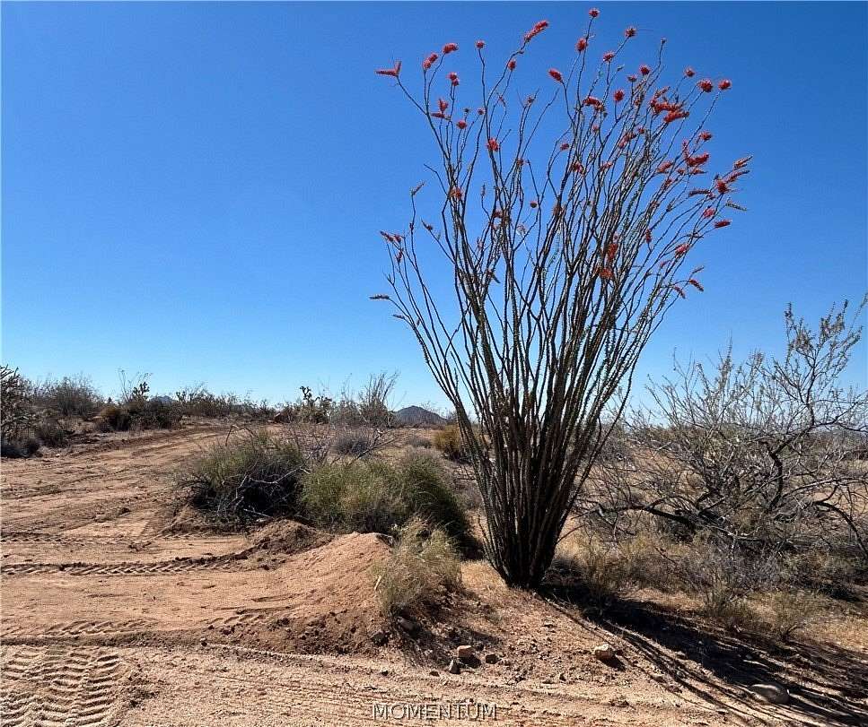 1 Acre of Residential Land for Sale in Yucca, Arizona