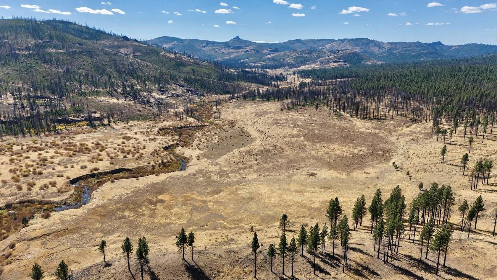 20 Acres of Land for Sale in Chilcoot, California