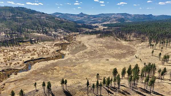 20 Acres of Land for Sale in Chilcoot, California