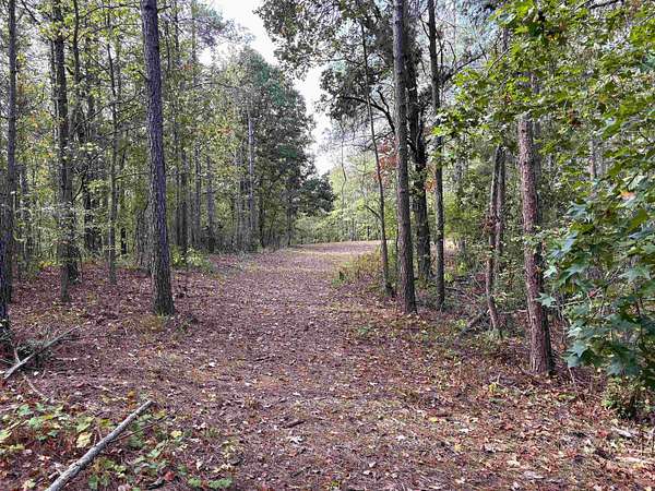 43.8 Acres of Land for Sale in Batesville, Mississippi
