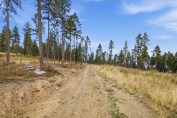 16.2 Acres of Recreational Land for Sale in Libby, Montana