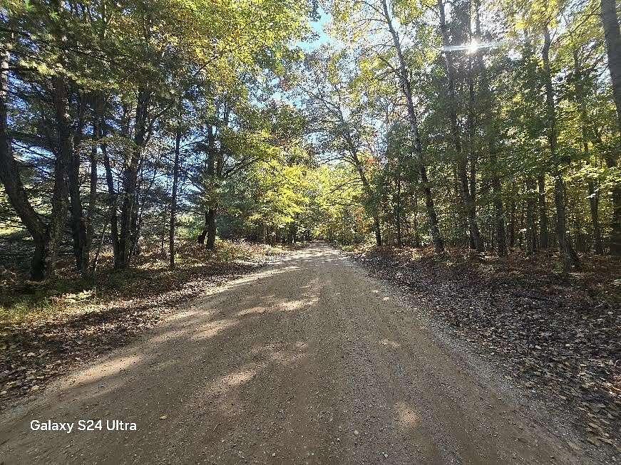 11.5 Acres of Land for Sale in Irons, Michigan