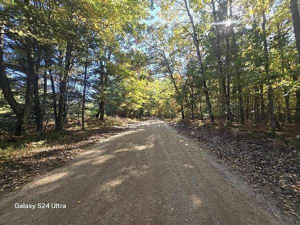 11.5 Acres of Land for Sale in Irons, Michigan