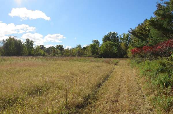 25.5 Acres of Land for Sale in North Branch, Michigan