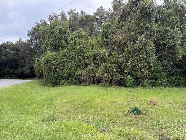 0.27 Acres of Residential Land for Sale in Gainesville, Florida
