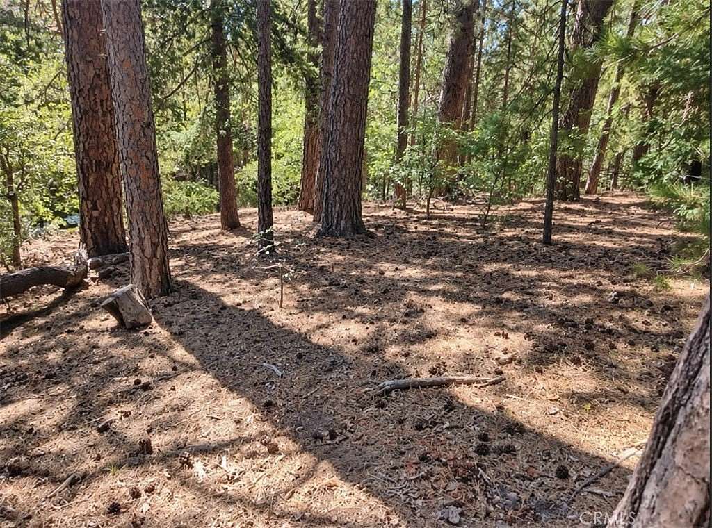 0.2 Acres of Residential Land for Sale in Lake Arrowhead, California