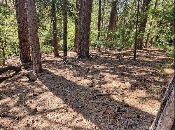0.2 Acres of Residential Land for Sale in Lake Arrowhead, California