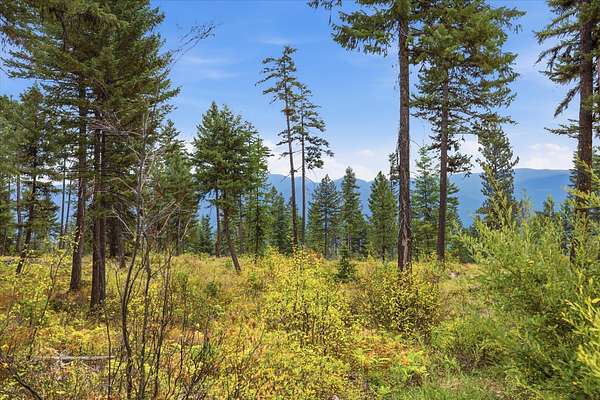 7.79 Acres of Land for Sale in Libby, Montana