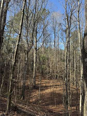 80 Acres of Recreational Land for Sale in Grenada, Mississippi