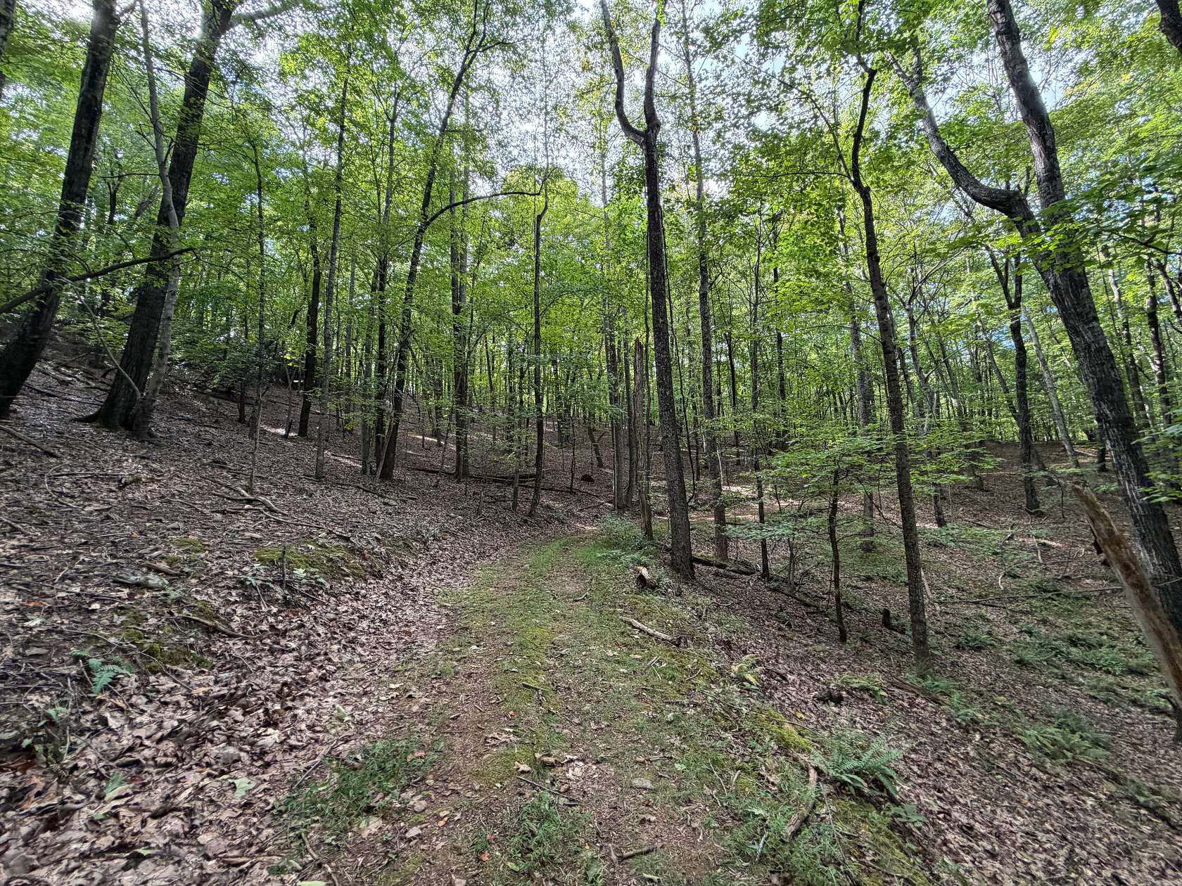41.4 Acres of Land for Sale in Stuart, Virginia