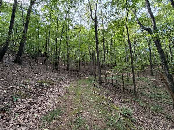41.4 Acres of Land for Sale in Stuart, Virginia